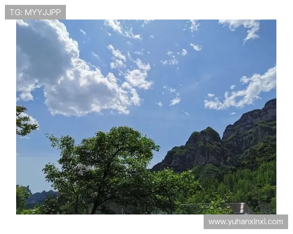 攀岩高手李伟分享成功秘诀与训练心得的独家专访